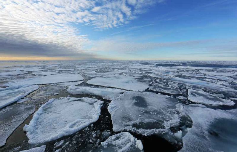 in the ice.jpg